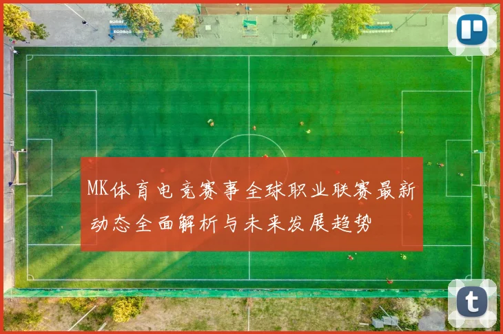 MK体育电竞赛事全球职业联赛最新动态全面解析与未来发展趋势