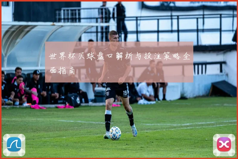 世界杯买球盘口解析与投注策略全面指南