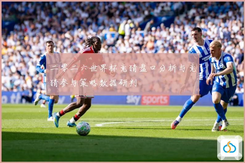 二零二六世界杯竞猜盘口分析与竞猜参与策略数据研判