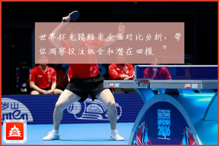 世界杯竞猜赔率全面对比分析，带你洞察投注机会和潜在回报