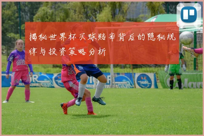揭秘世界杯买球赔率背后的隐秘规律与投资策略分析